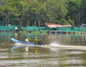 canh thien nhien dao nhim Cảnh thiên nhiên đảo Nhím